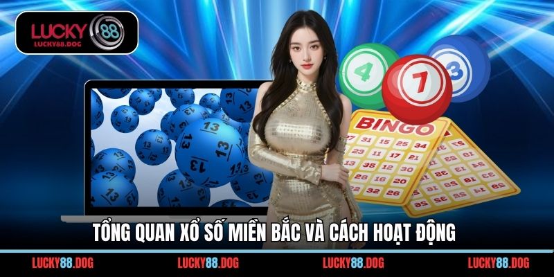Tổng quan xổ số miền Bắc và cách hoạt động